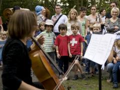 Forest Concert