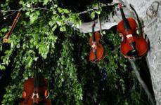 Nachtwanderkonzert Gross Nachtwanderkonzert Gross